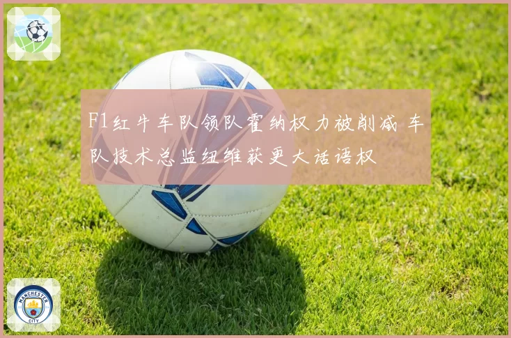 F1红牛车队领队霍纳权力被削减 车队技术总监纽维获更大话语权